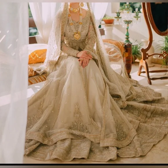 Pakistani/Indian Beautiful reception wedding bridal dress - Picture 1 of 17